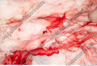 Photo Textures of RAW Pork Meat